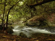Chattahoochee National Forest