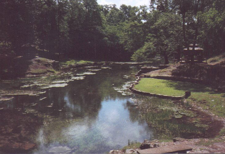 Crawfish Springs