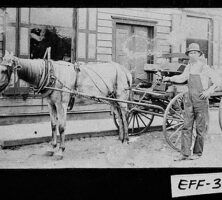 Delivery Wagon