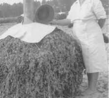 Naomi Chapman Woodroof