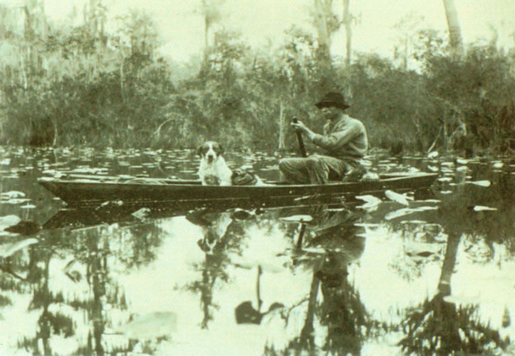 Okefenokee Swamp